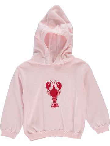 Zip back lobster pink hooded sweater